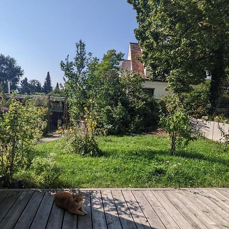 Wohnung Mit Terrasse Und Eigenem Parkplatz Nabburg Luaran gambar